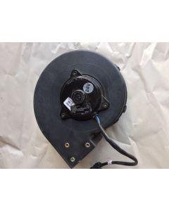 FAN MOTOR